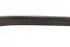 Ремінь генератора Citroen Berlingo/Jumpy/Fiat Scudo/Peugeot Partner 1.9D 98-/Hyundai Accent 02-05 1 987 948 353 BOSCH 1-987-948-353 (фото 4)