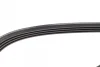 Ремінь генератора Mazda 323 89-04/ Mitsubishi Pajero II 94-99 (4PK1000) 1 987 948 359 BOSCH 1-987-948-359 (фото 4)