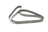Ремень генератора Peugeot 206/306/4007/406/4007/Citroen C5 1.9TD/2.0/2.2HDI 96- (6PK1743) 1 987 948 360 BOSCH 1-987-948-360 (фото 2)