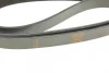 Ремень генератора Peugeot 206/306/4007/406/4007/Citroen C5 1.9TD/2.0/2.2HDI 96- (6PK1743) 1 987 948 360 BOSCH 1-987-948-360 (фото 4)