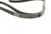 Ремінь генератора Renault Kangoo 1.2 98- / Dacia Logan/Sandero 1.2 12- (4PK1538) 1 987 948 364 BOSCH 1-987-948-364 (фото 3)