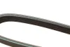 Ремінь генератора Renault Kangoo 1.2 98- / Dacia Logan/Sandero 1.2 12- (4PK1538) 1 987 948 364 BOSCH 1-987-948-364 (фото 4)
