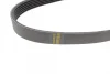 Ремінь генератора VW Caddy IV/Golf VII 1.0-1.2TSI/1.4TSI 15- (-AC) (6PK745) 1 987 948 378 BOSCH 1-987-948-378 (фото 2)