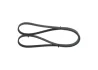 Ремінь генератора Renault Megane I 1.4-1.6i/e (+AC) 96-97/Land Rover Range Rover 92-94 (4PK1260) 1 987 948 380 BOSCH 1-987-948-380 (фото 2)