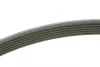Ремінь генератора VW Golf V/VI/Passat VI/VII/Skoda Fabia 1.4TSI/FSI/1.6 FSI 97- (6PK1090) 1 987 948 381 BOSCH 1-987-948-381 (фото 3)