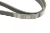 Ремінь генератора VW Golf V/VI/Passat VI/VII/Skoda Fabia 1.4TSI/FSI/1.6 FSI 97- (6PK1090) 1 987 948 381 BOSCH 1-987-948-381 (фото 5)
