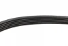 Ремінь генератора Peugeot Expert/Citroen Jumpy 2.0HDi 07-/Ford Focus/Kuga 2.0TDCi 04-12 (6PK1215) 1 987 948 391 BOSCH 1-987-948-391 (фото 3)