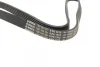 Ремінь генератора Peugeot Expert/Citroen Jumpy 2.0HDi 07-/Ford Focus/Kuga 2.0TDCi 04-12 (6PK1215) 1 987 948 391 BOSCH 1-987-948-391 (фото 6)