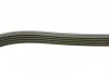 Ремінь генератора BMW 5 (E39)/7 (E38) 2.5TDS 96-04/Kia Cerato/Rio/Hyundai Accent 1.5/1.6CRDI 05- 1 987 948 396 BOSCH 1-987-948-396 (фото 3)