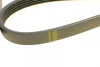 Ремінь генератора BMW 5 (E39)/7 (E38) 2.5TDS 96-04/Kia Cerato/Rio/Hyundai Accent 1.5/1.6CRDI 05- 1 987 948 396 BOSCH 1-987-948-396 (фото 4)