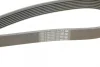 Ремінь генератора Iveco Daily III/IV/VI 2.3 JTD 02- (7PK1325) 1 987 948 397 BOSCH 1-987-948-397 (фото 4)
