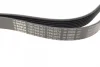 Ремінь генератора Ford Transit 2.4 DI-2.4TDCI 00-06 (7PK2875) 1 987 948 401 BOSCH 1-987-948-401 (фото 2)