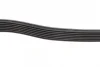 Ремінь генератора Ford Transit 2.4 DI-2.4TDCI 00-06 (7PK2875) 1 987 948 401 BOSCH 1-987-948-401 (фото 4)