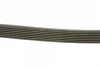 Ремінь генератора MB Sprinter 3.0CDI 06-/Opel Vivaro 2.0CDTi 06- (7PK1970) 1 987 948 403 BOSCH 1-987-948-403 (фото 2)