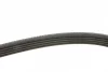 Ремінь генератора Renault Kangoo 1.5 dCi (5PK1135) 1 987 948 410 BOSCH 1-987-948-410 (фото 3)
