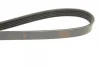 Ремінь генератора Renault Kangoo 1.5 dCi (5PK1135) 1 987 948 410 BOSCH 1-987-948-410 (фото 4)