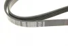 Ремінь генератора Renault Kangoo 1.5 dCi (5PK1135) 1 987 948 410 BOSCH 1-987-948-410 (фото 5)