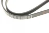 Ремінь генератора Opel Movano/Renault Master 2.5D/2.8DTI 98-01/Megane/Laguna 1.4-1.6 03-08 (5PK1195) 1 987 948 413 BOSCH 1-987-948-413 (фото 5)