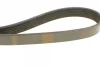 Ремінь генератора VW Golf/Caddy 1.4 04-10/Renault Espace 3.5 02-/Audi A4/A6 2.0TFSI 08-15 (6PK1100) 1 987 948 437 BOSCH 1-987-948-437 (фото 4)