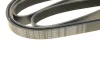 Ремінь генератора Ford Transit 2.4TDCi/3.2TDCi 06- (7PK2682) 1 987 948 441 BOSCH 1-987-948-441 (фото 5)