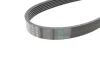 Ремінь генератора Jeep Wrangler 4.0 98-07/Toyota Avensis 1.6/1.8 00-03/Subaru Forester 13- (6PK1910) 1 987 948 451 BOSCH 1-987-948-451 (фото 3)