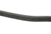Ремінь генератора MB W202/210 M112/113 97- (6PK2300) 1 987 948 464 BOSCH 1-987-948-464 (фото 3)