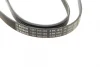 Ремінь генератора Hyundai Tucson 15-/i20/i30/i40/Accent/Kia Ceed/Rio 05-/Sportage 10- (5PK1815) 1 987 948 482 BOSCH 1-987-948-482 (фото 2)