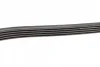 Ремінь генератора Hyundai Tucson 15-/i20/i30/i40/Accent/Kia Ceed/Rio 05-/Sportage 10- (5PK1815) 1 987 948 482 BOSCH 1-987-948-482 (фото 3)