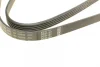 Ремінь генератора VW Passat B5/Audi A4/A6 1.9TDI 98-05/Skoda Superb 1.9/2.0TDI 01-08 (5PK1432) 1 987 948 491 BOSCH 1-987-948-491 (фото 3)