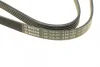 Ремінь генератора VW Passat B5/Audi A4/A6 1.9TDI 98-05/Skoda Superb 1.9/2.0TDI 01-08 (5PK1432) 1 987 948 491 BOSCH 1-987-948-491 (фото 4)