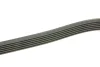Ремінь генератора Mitsubishi L200 2.5DI-D 05-15 (6PK1496) 1 987 948 497 BOSCH 1-987-948-497 (фото 3)