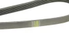 Ремінь генератора Mitsubishi L200 2.5DI-D 05-15 (6PK1496) 1 987 948 497 BOSCH 1-987-948-497 (фото 4)