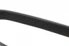 Ремінь генератора Ford Transit 2.4 TDCi 06- (7PK2842) 1 987 948 499 BOSCH 1-987-948-499 (фото 2)