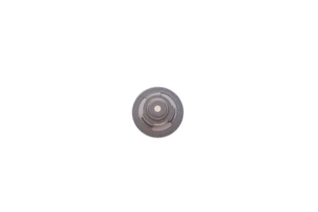 Клапан насосу паливного Daf/Ford/Iveco/MB/Renault/Scania/Volvo 2 447 419 002 BOSCH 2-447-419-002