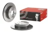Диск гальмівний задн. (вир-во) BREMBO 09-8969-21 (фото 2)