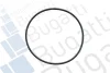 Помпа води Opel Ascona C/Kadett D/E 1.6D 82-88 (21z) (B/B) (8 лоп) BUGATTI PA0098 (фото 2)