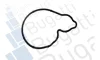 Помпа води BMW 1 (F20/F21)/2 (F23/F22/F87)/3 (F30/F80/F31)/4 (F36/F32/F82) B38 B15 A 15- BUGATTI PA10371 (фото 2)