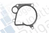 Помпа води BMW 3 (E46) 320d АКПП 98-01/5 (E39) 520d 00-03 (B/B) (7 лоп) (5 кан) M47 D20 BUGATTI PA5419 (фото 2)