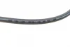 Шланг гальмівний (передній) BMW 5 (E34)/7 (E32)/8 (E31) 1.8-5.6 86-99 M20/M40/M43/M50 CAVO C800 509A Cavo C800-509A (фото 2)