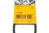 Ремінь генератора VW Caddy/Golf/Passat 1.6-2.0 91-99/Seat Ibiza/Toledo 1.6/2.0 93-02 CONTINENTAL 11,5X685Ld Contitech 11-5X685LD (фото 6)