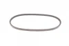 Ремінь генератора VW Caddy/Golf/Passat/Polo 1.4-2.0 91-02/Seat Alhambra/Ibiza 91-10 (755x11.5) CONTINENTAL 11,5X755Ld Contitech 11-5X755LD (фото 2)
