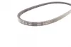 Ремінь генератора VW Caddy/Golf/Passat/Polo 1.4-2.0 91-02/Seat Alhambra/Ibiza 91-10 (755x11.5) CONTINENTAL 11,5X755Ld Contitech 11-5X755LD (фото 3)