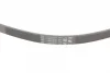 Ремінь генератора Fiat Doblo 1.3JTD 04- (PS) CONTINENTAL 4PK1022 ELAST Contitech 4PK1022-ELAST (фото 3)