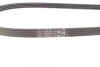 Ремінь генератора Citroen Jumper/Fiat Ducato/Peugeot Boxer 3.0HDi/D 06- CONTINENTAL 4PK1102 ELAST Contitech 4PK1102-ELAST (фото 3)