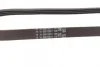 Ремінь генератора BMW 3 (E90)/5 (E60)/7 (E65/E66/E67) 2.5/3.0D 02-11 (4PK850) CONTINENTAL 4PK850 ELAST Contitech 4PK850-ELAST (фото 3)