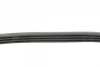 Ремінь генератора BMW 3 (E46/E90)/5 (E60)/6 (E63)/X3 (E83)/X5 (E53) 03-11 CONTINENTAL 4PK860 ELAST Contitech 4PK860-ELAST (фото 2)