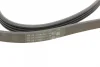 Ремінь генератора BMW 3 (E46/E90)/5 (E60)/6 (E63)/X3 (E83)/X5 (E53) 03-11 CONTINENTAL 4PK860 ELAST Contitech 4PK860-ELAST (фото 3)