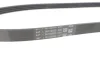 Ремінь генератора Renault Clio 1.2 16V 12- (4PK865) CONTINENTAL 4PK865 ELAST Contitech 4PK865-ELAST (фото 4)