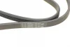 Ремінь генератора BMW 5 (E60)/X3 (E83/)X5 (E70)/X6 (E71/E72) 04-13 CONTINENTAL 4PK867 ELAST Contitech 4PK867-ELAST (фото 4)