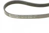 Ремінь генератора Volvo S40/S60/S80/V40/V60/V70/XC60/XC70 00- (5PK1121) CONTINENTAL 5PK1121 EXTRA Contitech 5PK1121-EXTRA (фото 3)